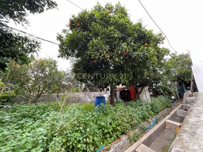 /international/pt/rua-elias-garcia-nº18-nossa-senhora-de-fatima-lisbon-310108521306/