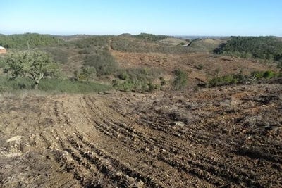 /international/pt/santana-da-serra-beja-310103782339/