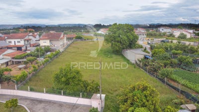 /international/pt/barro-e-aguada-de-baixo-agueda-aveiro-310108514585/