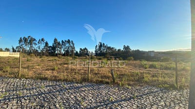 /international/pt/rio-maior-rio-maior-aveiro-310094935072/
