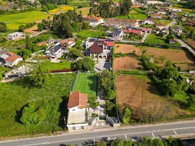/international/pt/lama-braga-310100668795/