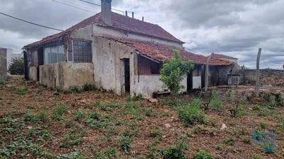 /international/pt/leiria-leiria-310100542990/