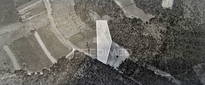 /international/pt/angeja-albergaria-a-velha-aveiro-310105716576/