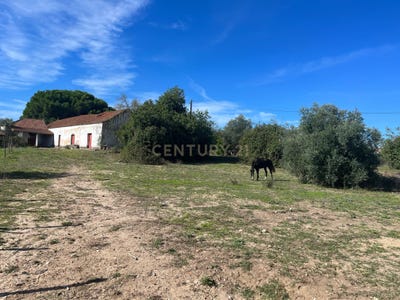 /international/pt/quinta-das-lameiras-alcanhoes-santarem-310105106252/