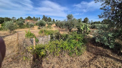 /international/pt/wjvj-3m-lousa-portugal-escalos-de-cima-castelo-branco-310108668384/