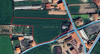/international/pt/rua-da-pateira-laundos-portugal-laundos-porto-310103036659/
