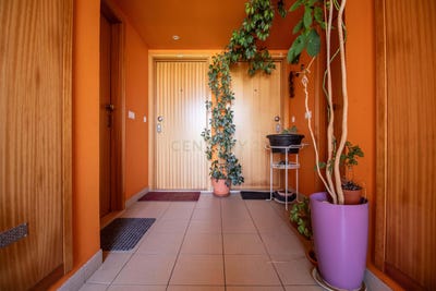 /international/pt/3090-898-figueira-da-foz-portugal-sao-pedro-santarem-310107577933/
