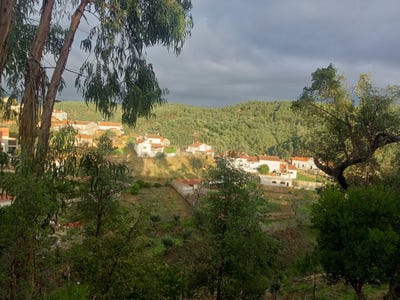 /international/pt/aveleira-vila-de-rei-portugal-vila-de-rei-lisbon-310104506236/
