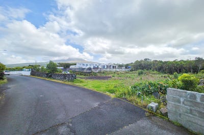 /international/pt/madalena-azores-310107216068/