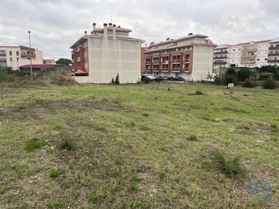 /international/pt/caldas-da-rainha-santo-onofre-e-serra-do-bouro-leiria-310101185959/?lang=es