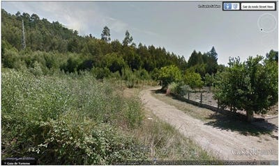 /international/pt/monte-santa-justa-valongo-braganca-310106510704/
