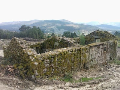 /international/pt/cavez-cabeceiras-de-basto-braga-310097149804/