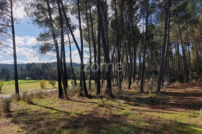 /international/pt/sernancelhe-viseu-310101276003/?lang=zh-cn