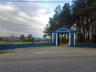 /international/pt/r-do-acipestre-5-6250-111-caria-portugal-castelo-branco-braganca-310100233322/?lang=zh-tw
