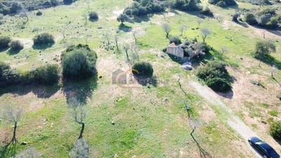 /international/pt/guia-leiria-310100714726/?lang=zh-tw