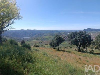 /international/pt/braganca-braganca-310100492956/