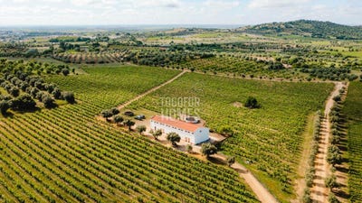 /international/pt/vila-de-frades-beja-310098724311/