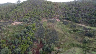/international/pt/palheiros-monchique-faro-310104982151/