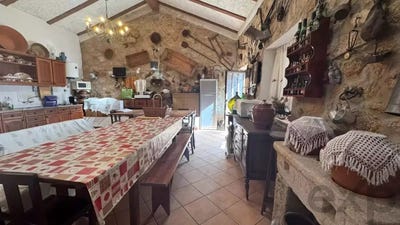 /international/pt/r-jacinto-candido-79-aranhas-castelo-branco-310108939545/?lang=id