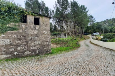 /international/pt/penafiel-porto-120061800994/