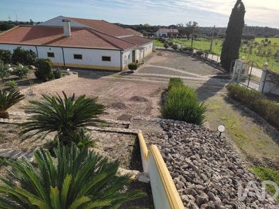 /international/pt/branca-santarem-310106943612/