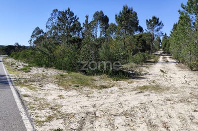 /international/pt/grandola-setubal-municipality-310107089808/