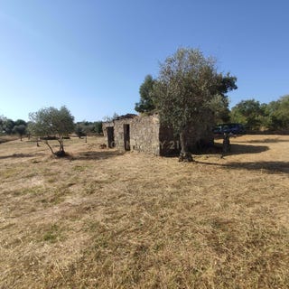 /international/pt/2h32-hx-lardosa-portugal-lardosa-castelo-branco-310105249795/