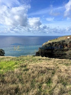 /international/pt/calheta-madeira-310104263186/
