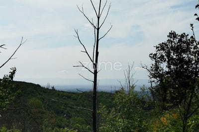 /international/pt/seia-guarda-310099944783/