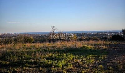/international/pt/albufeira-albufeira-faro-310108761886/