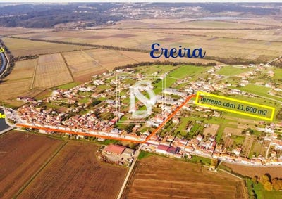 /international/pt/ereira-e-lapa-coimbra-310100712521/