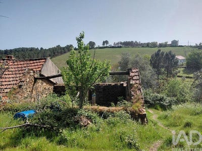 /international/pt/castelo-branco-braganca-310107372544/