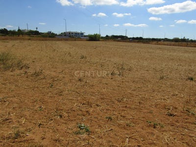 /international/pt/rua-dos-pescadores-alcantarilha-faro-120091022541/