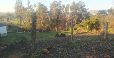 /international/pt/arnoso-santa-eulalia-arnoso-santa-eulalia-braga-310098638484/