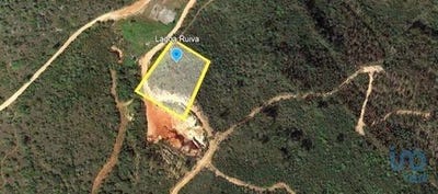/international/pt/ferreira-do-zezere-santarem-120096487875/