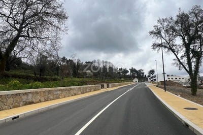 /international/pt/ponte-de-lima-viana-do-castelo-310107617536/