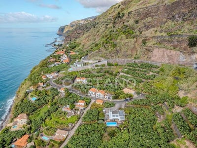 /international/pt/calheta-madeira-310108403868/