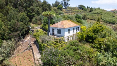 /international/pt/canico-santa-cruz-madeira-310101409884/?lang=en