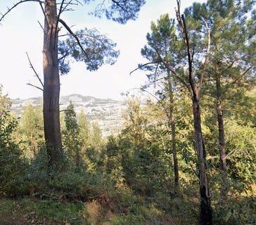 /international/pt/oliveira-do-douro-cinfaes-viseu-310100823185/