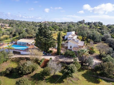 /international/pt/quelfes-faro-310108454605/