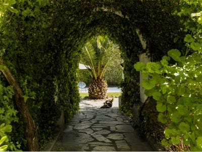 /international/pt/borba-sao-bartolomeu-evora-310108519075/?lang=de