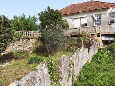 /international/pt/ganfei-viana-do-castelo-310108056888/