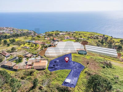 /international/pt/prazeres-madeira-310107256829/