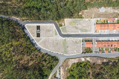 /international/pt/oliveira-de-azemeis-aveiro-310101687156/