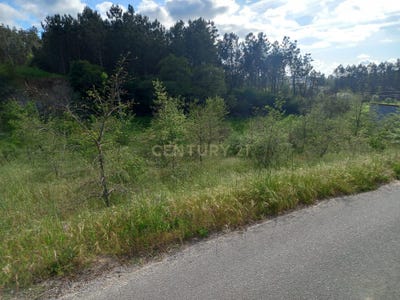 /international/pt/rua-de-santa-quiteria-almagreira-leiria-310094786283/