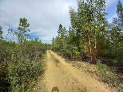 /international/pt/qcq7-fx-benquerencas-portugal-benquerencas-castelo-branco-310105235730/
