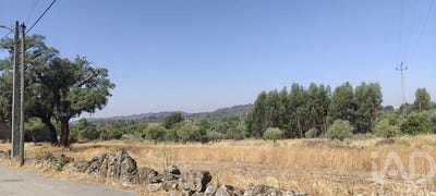 /international/pt/castelo-branco-braganca-310101551321/