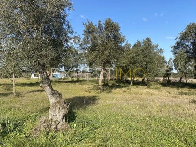 /international/pt/santarem-santarem-310105988126/