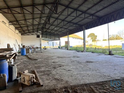 /international/pt/santarem-santarem-120089890013/?lang=zh-tw