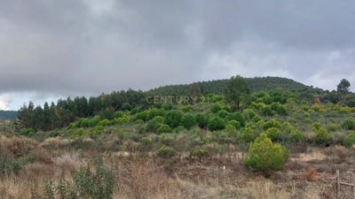 /international/pt/5rjx-83-penamacor-portugal-penamacor-castelo-branco-310106135447/